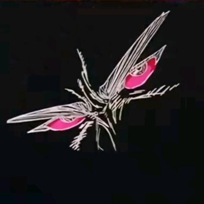 老董老董几点了