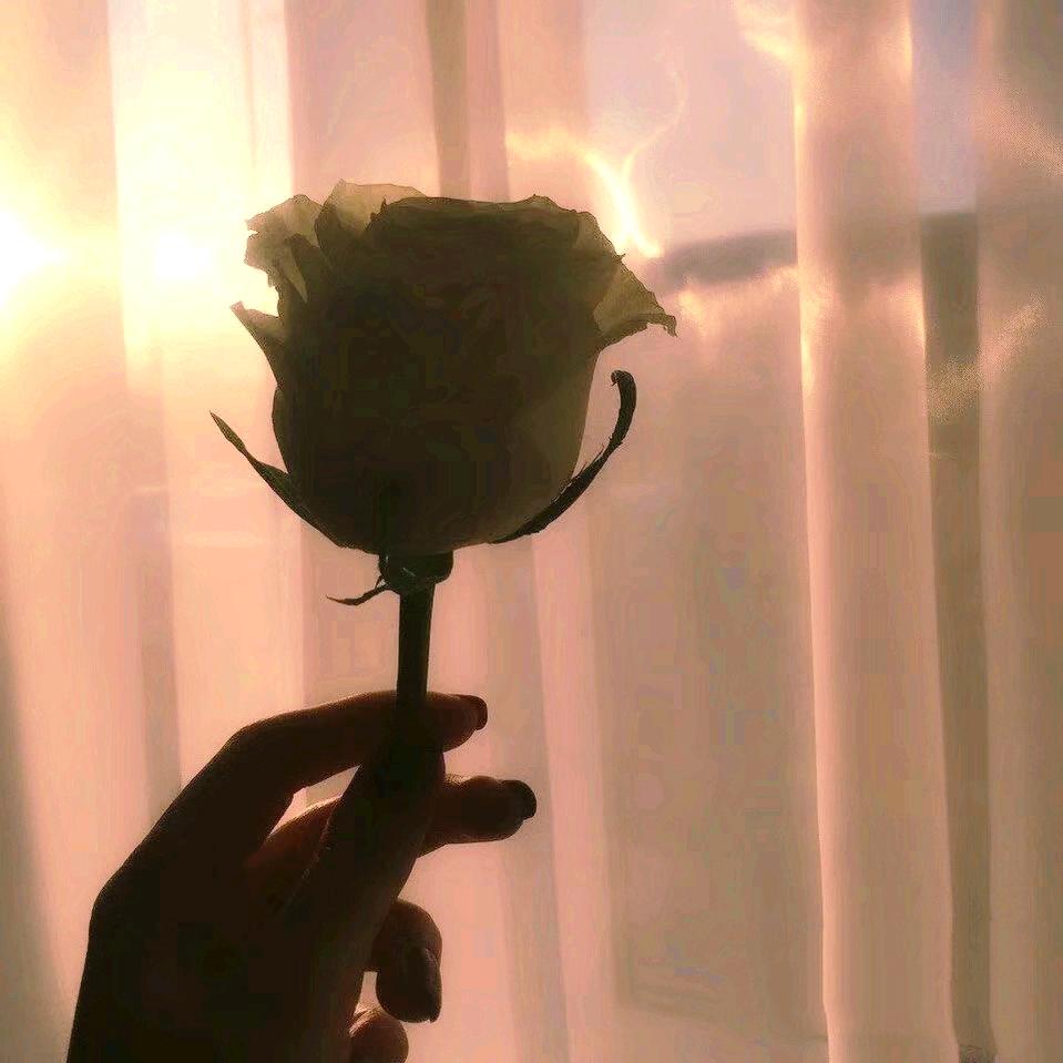 Tu me manques