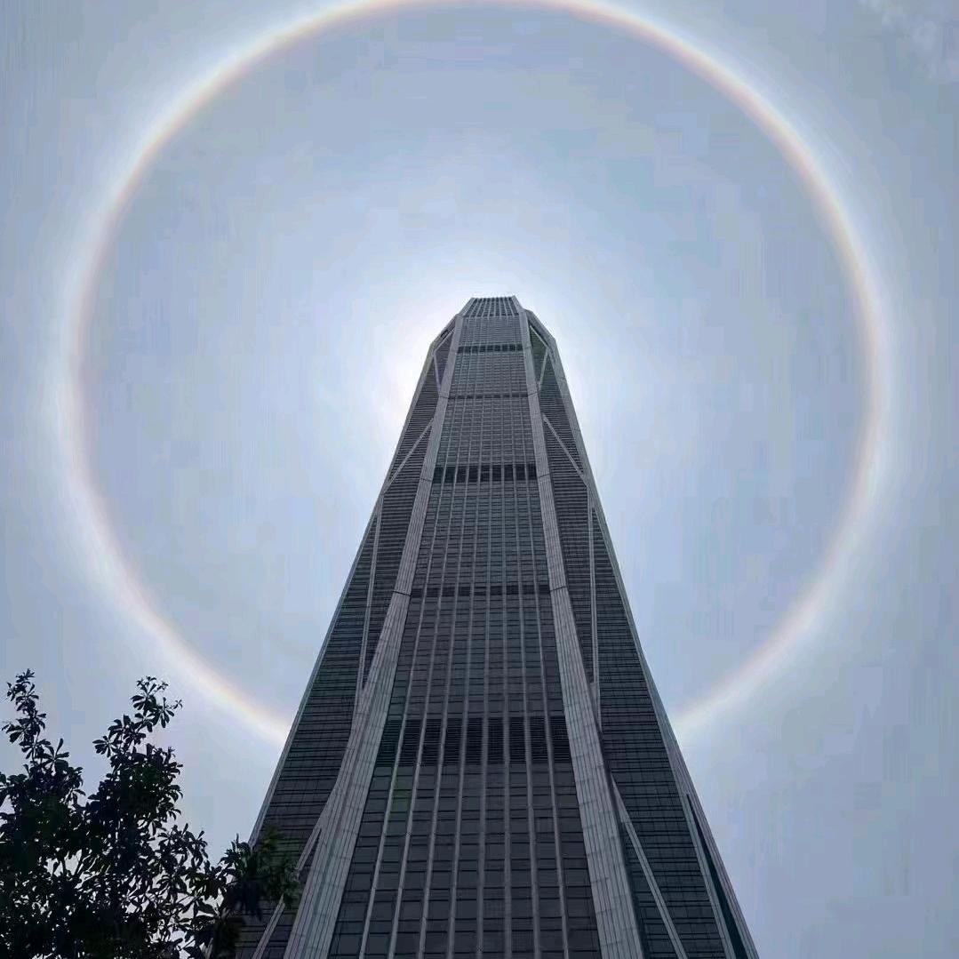 大利王科技