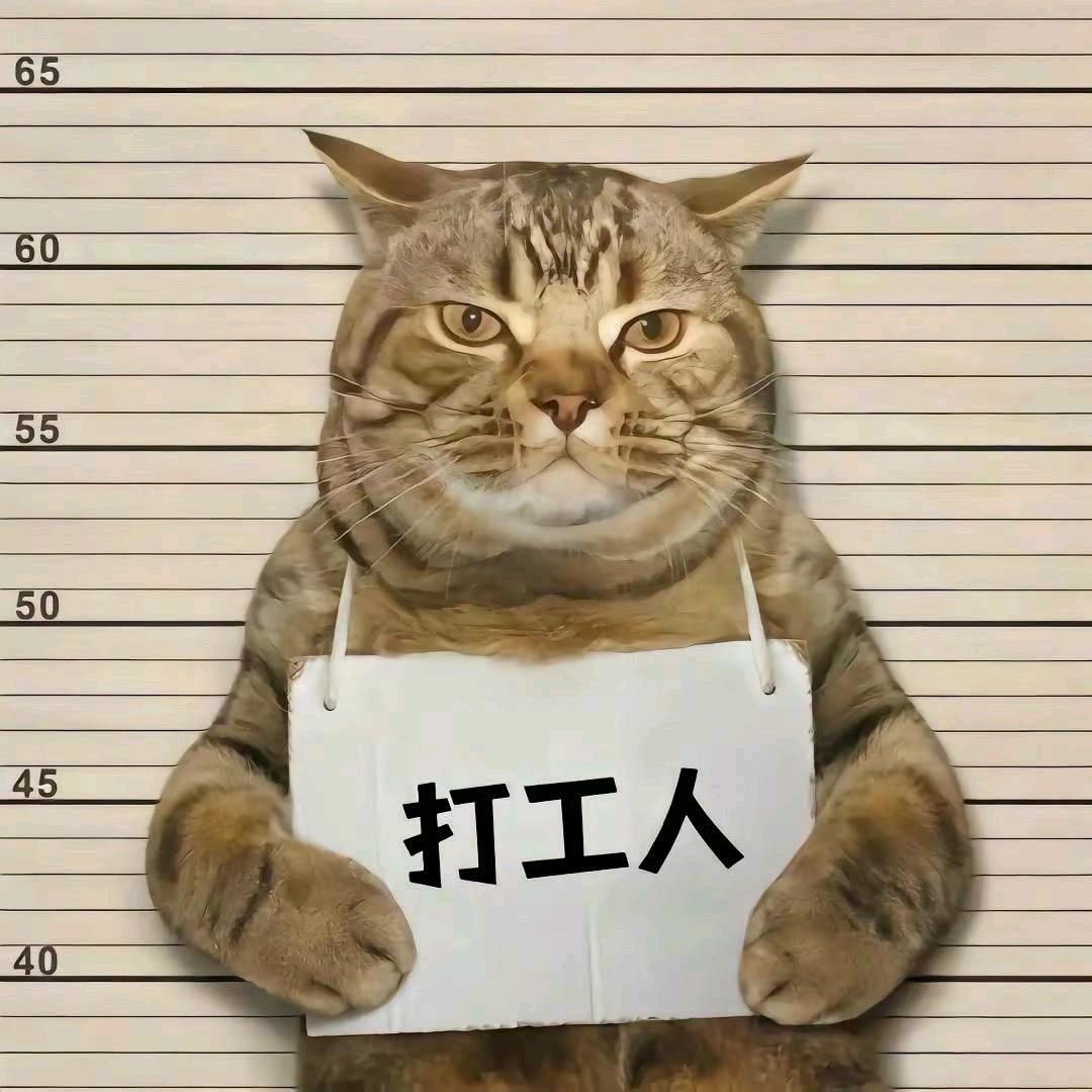 老实好骗