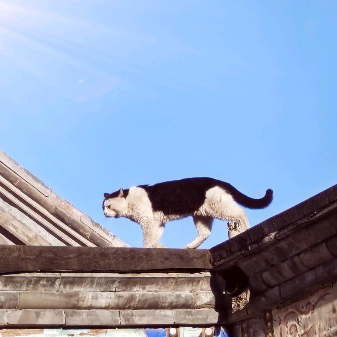 英雄