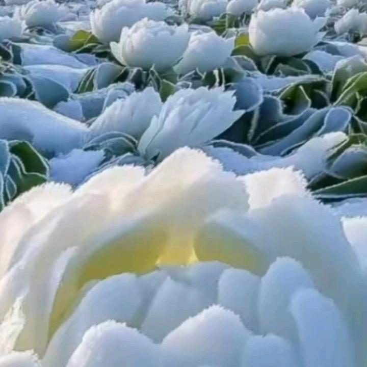谢…