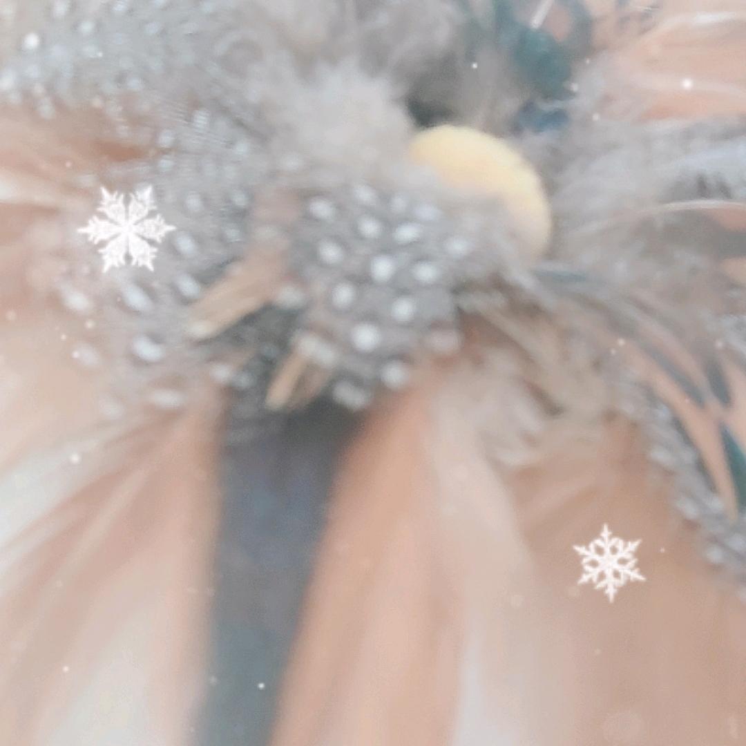 阳辰
