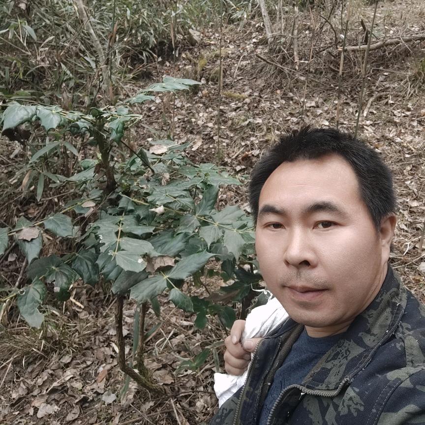 老谭户外
