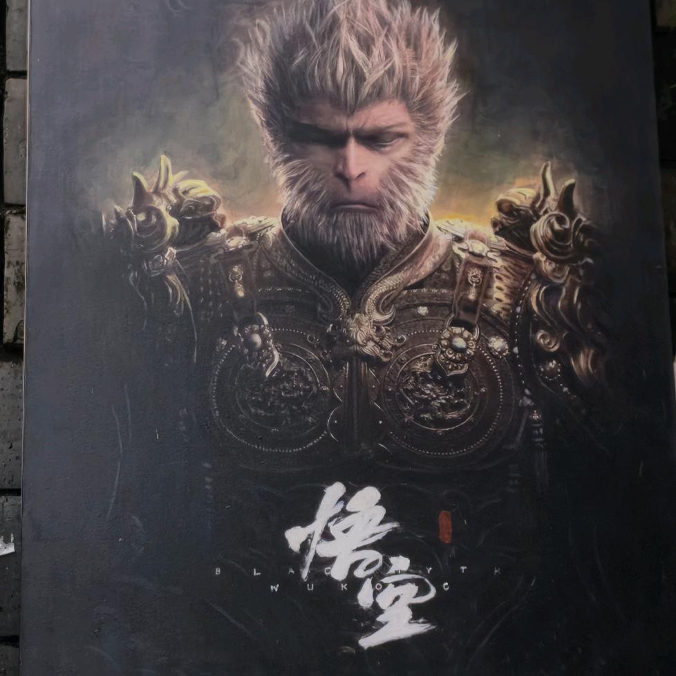 一只