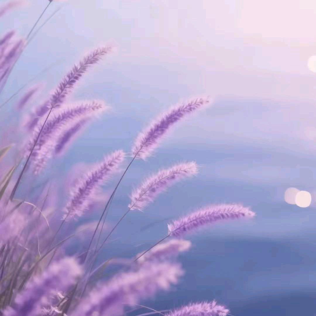 丽影