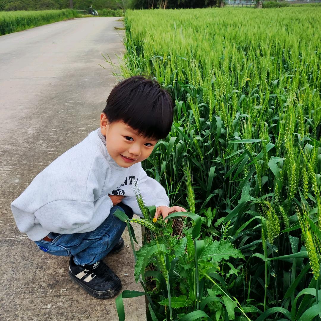 夏家三小姐