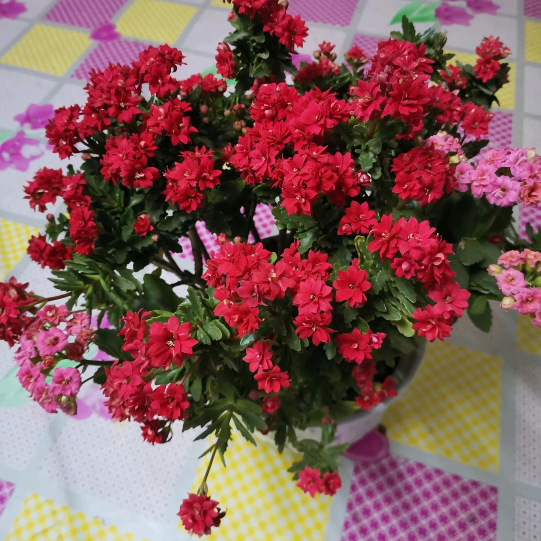 宗丽彬在居然!互关必回