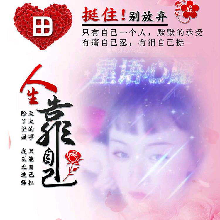 ✨田领✨  (拒绝连赞)