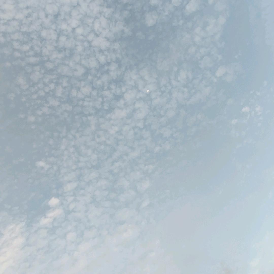い忘川こ