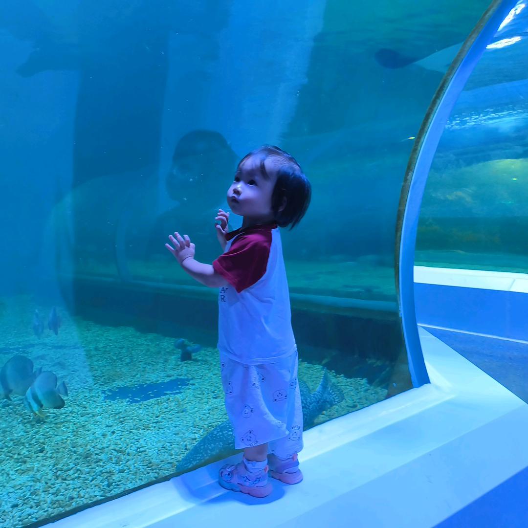 🌈爱吃鸡的大白