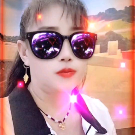不要在来伤害我
