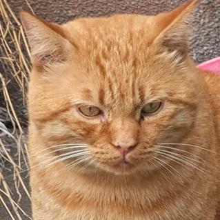 我可真是个大聪明