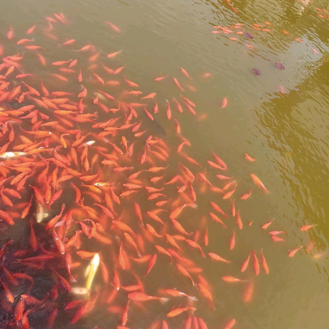 穿出个性的美