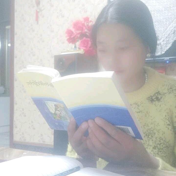 放羊🐏