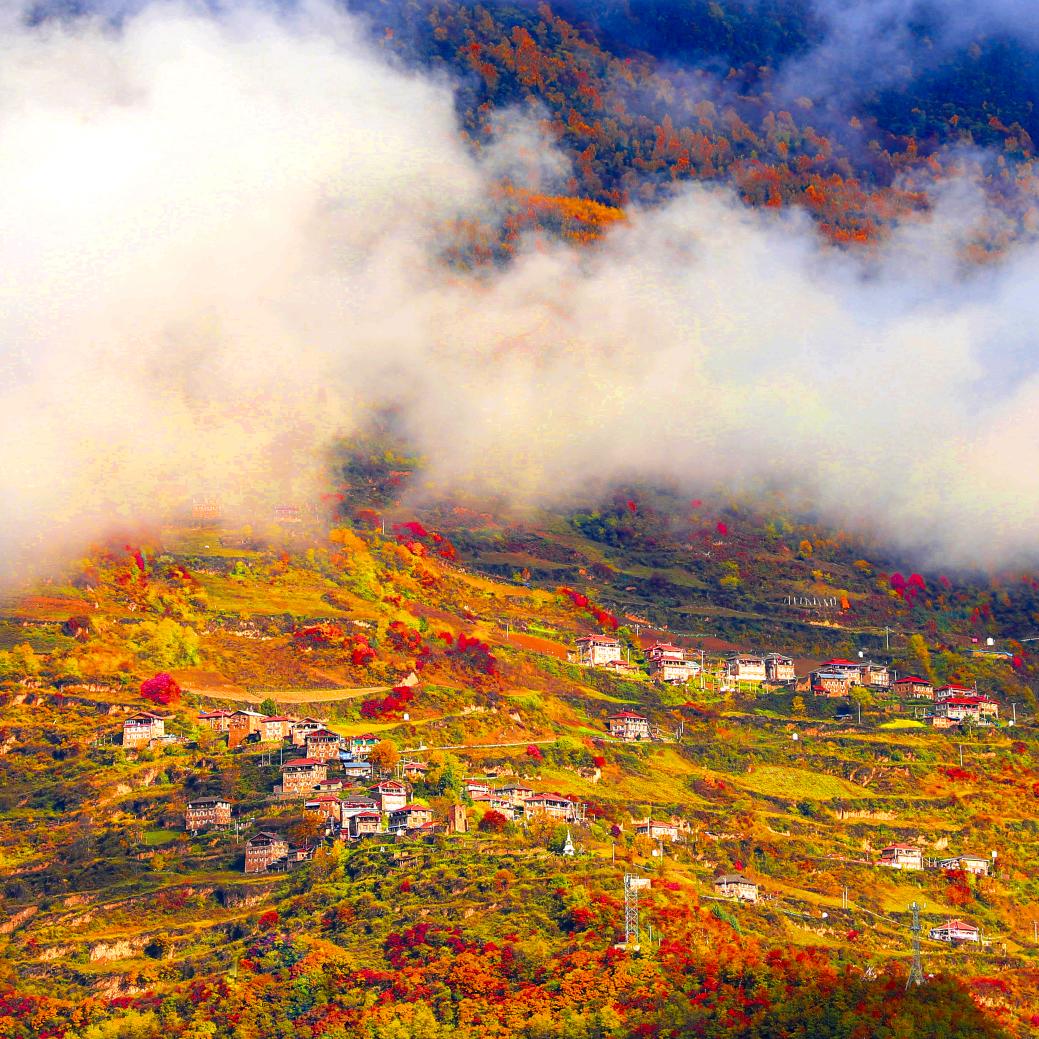 成都记事本@四川话