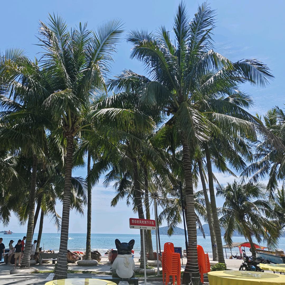 Song  开❤️每一天👩‍❤️‍👩