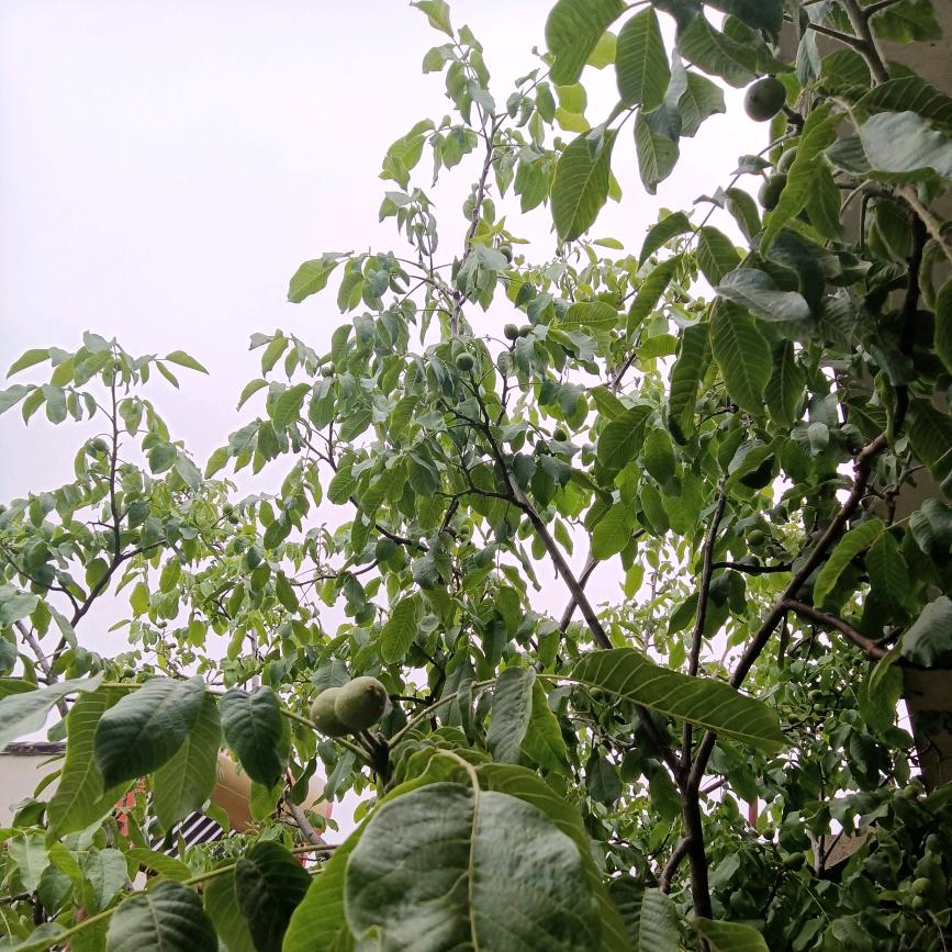 人各🔥有志