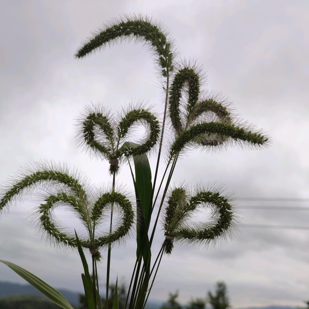 不解风情的老妖怪🔥