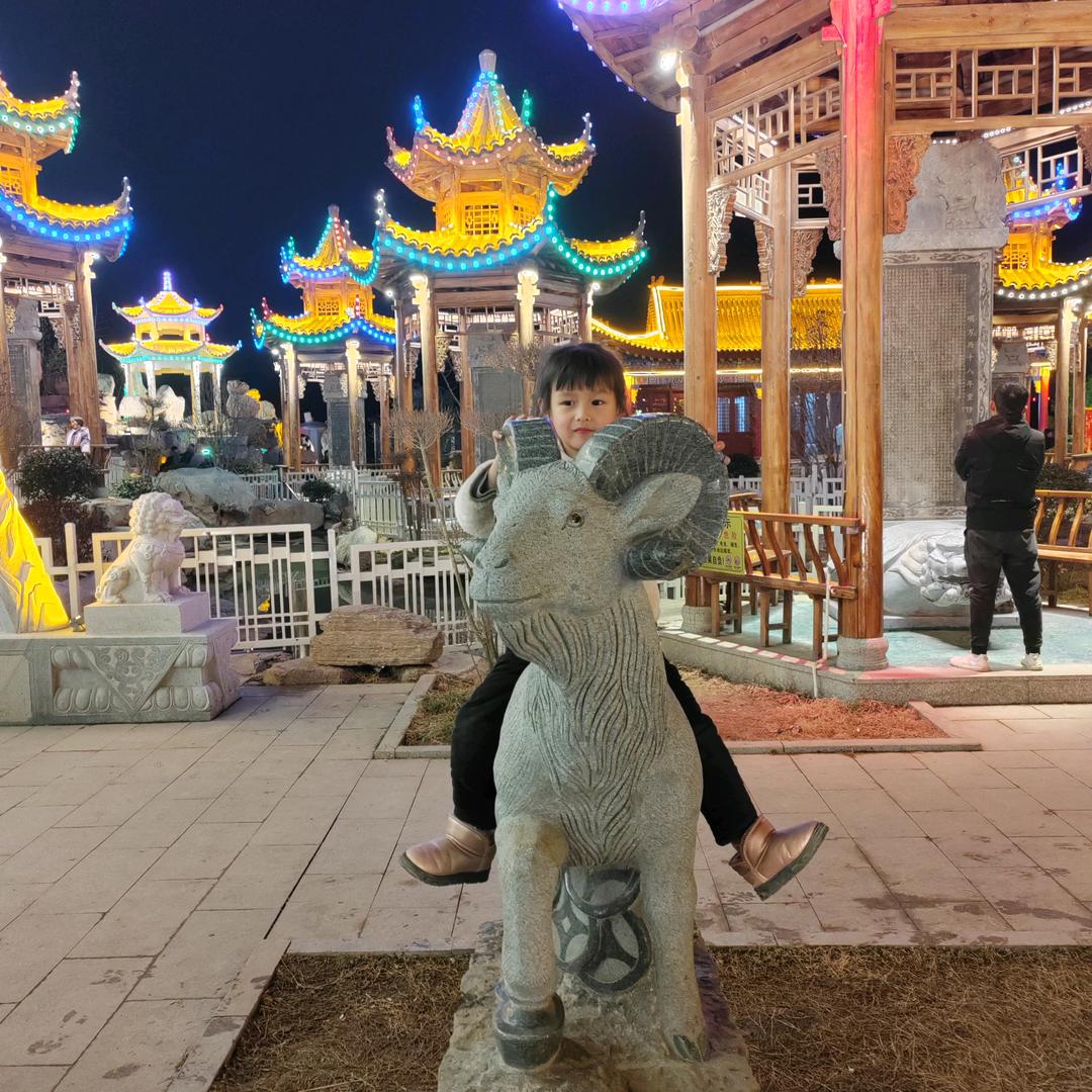 错落挚年