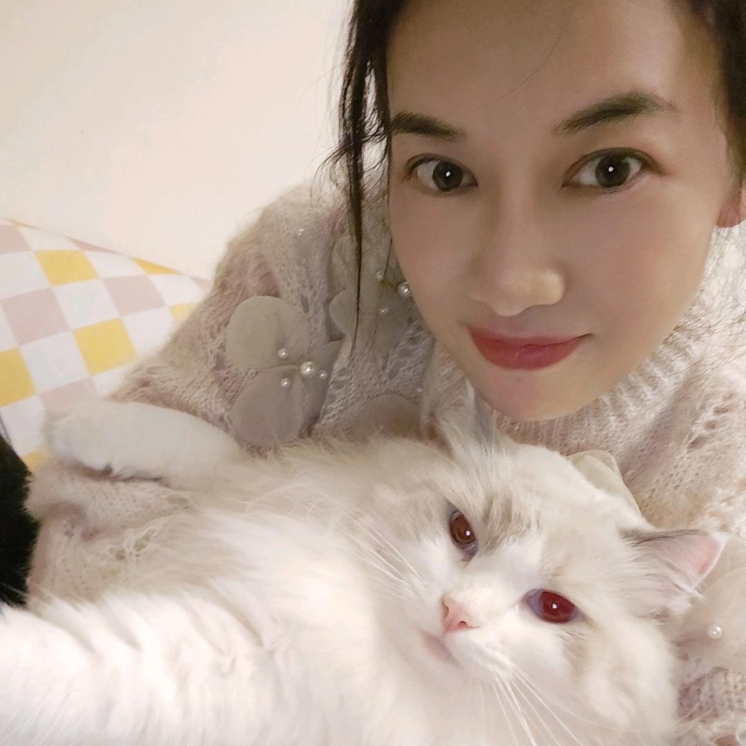 风筝与风