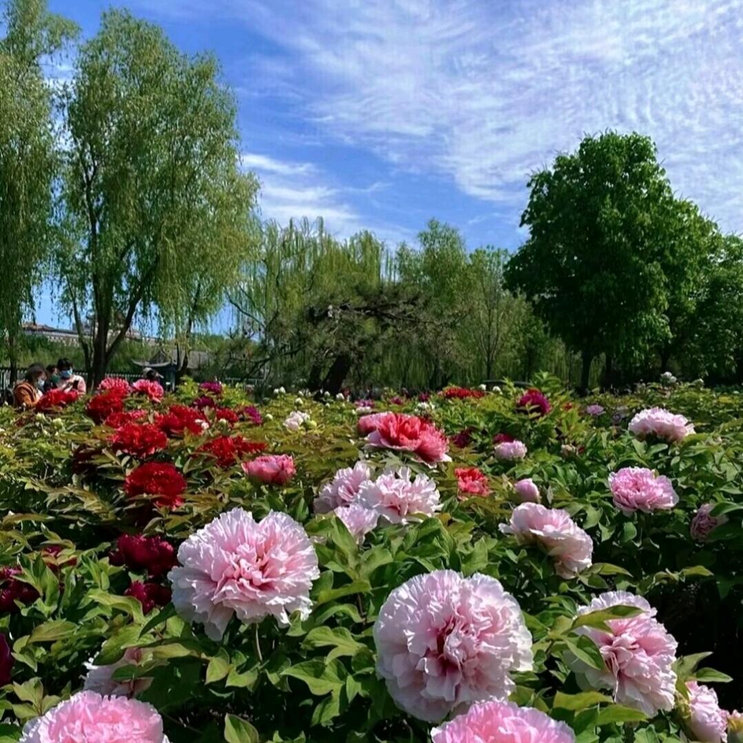 山月不知🌙🌙