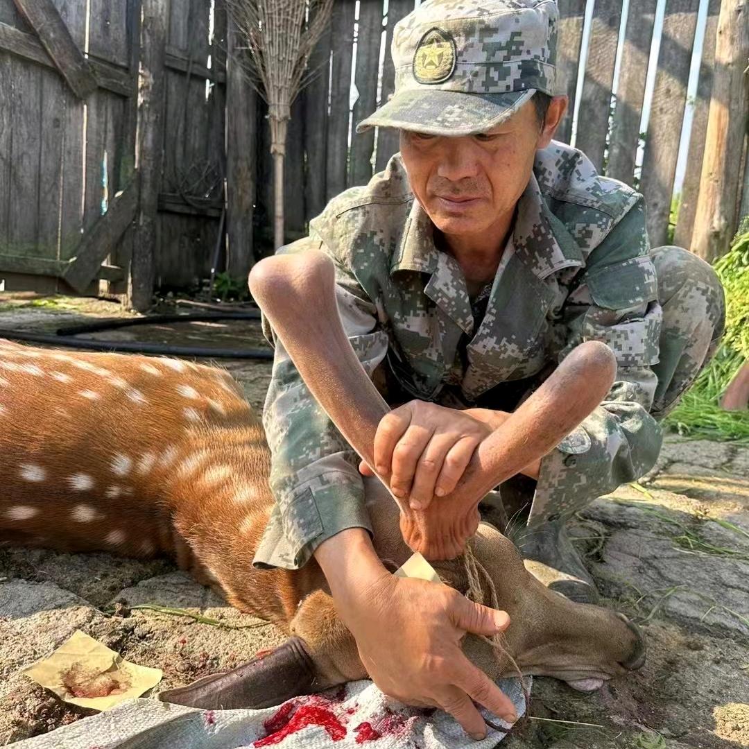 东北山特产