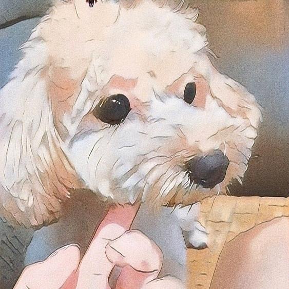 林小梦