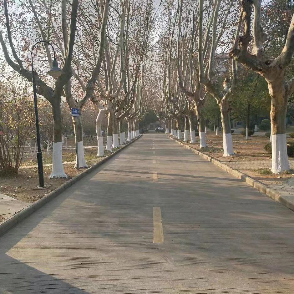 卤律守约