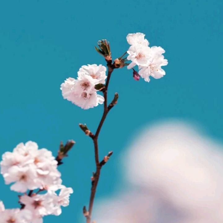 江-