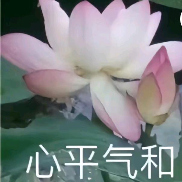 舒心❤️