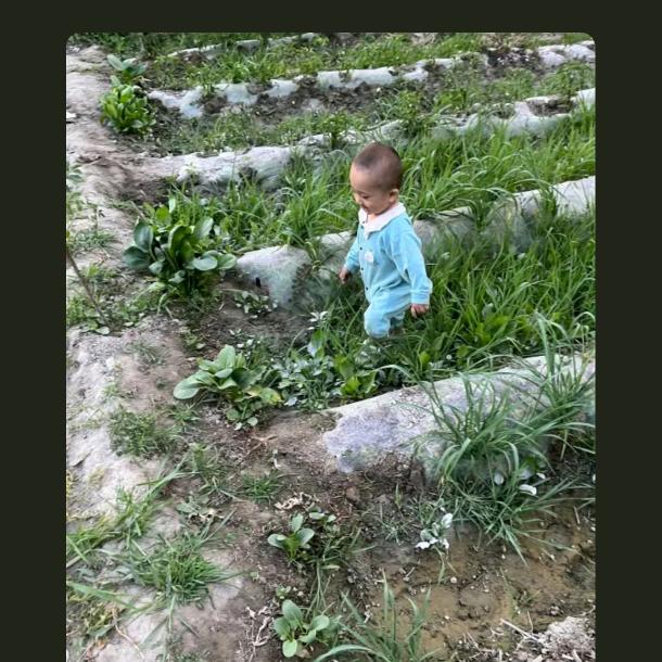 小尼的家乡🌺