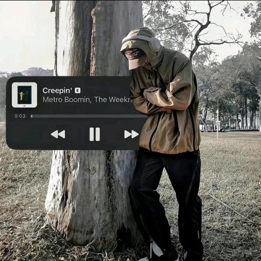 ┈┾荒年