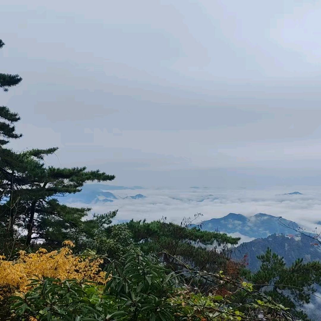 快乐🎄可乐⁹²⁷⁷