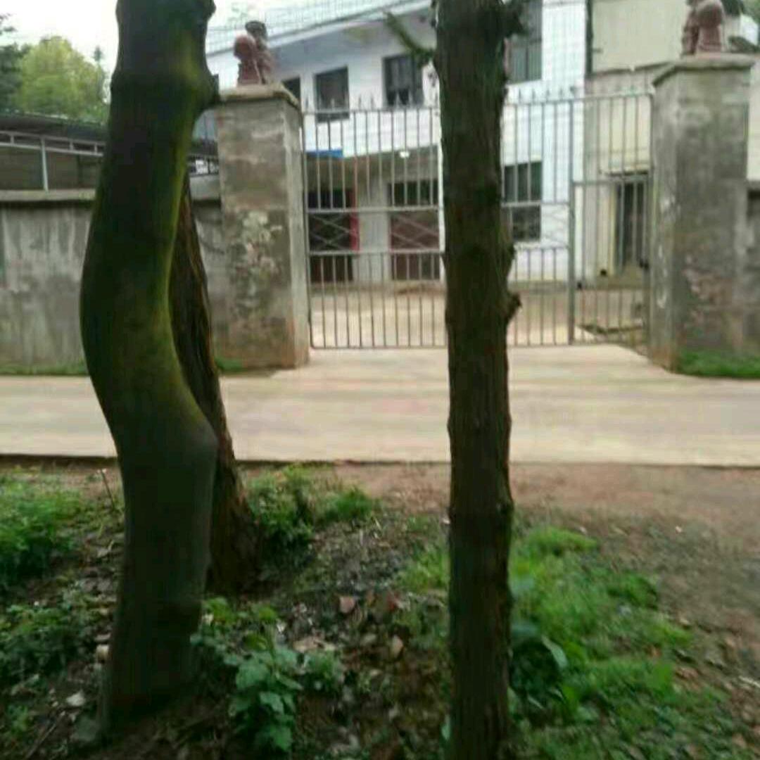 你还过得好吗