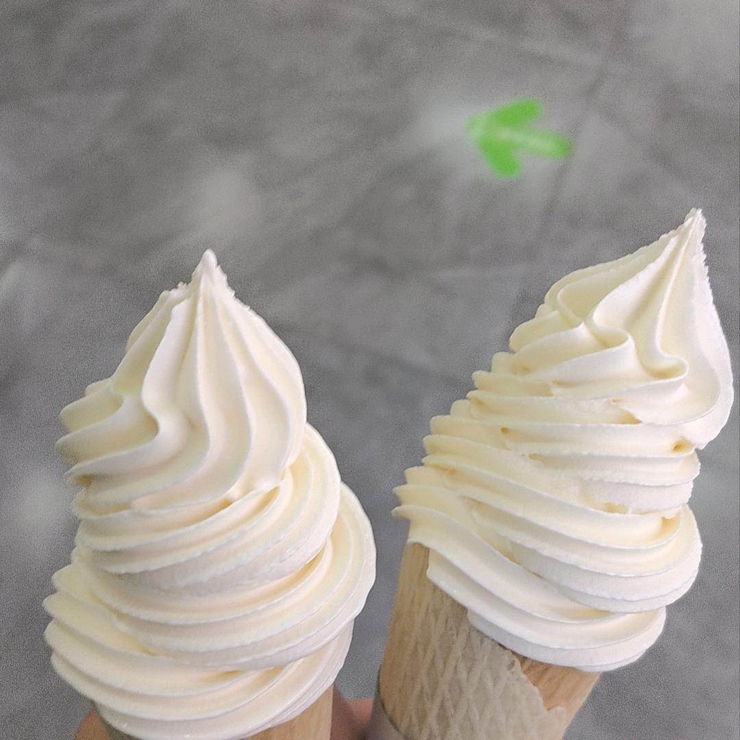 自由的洋葱