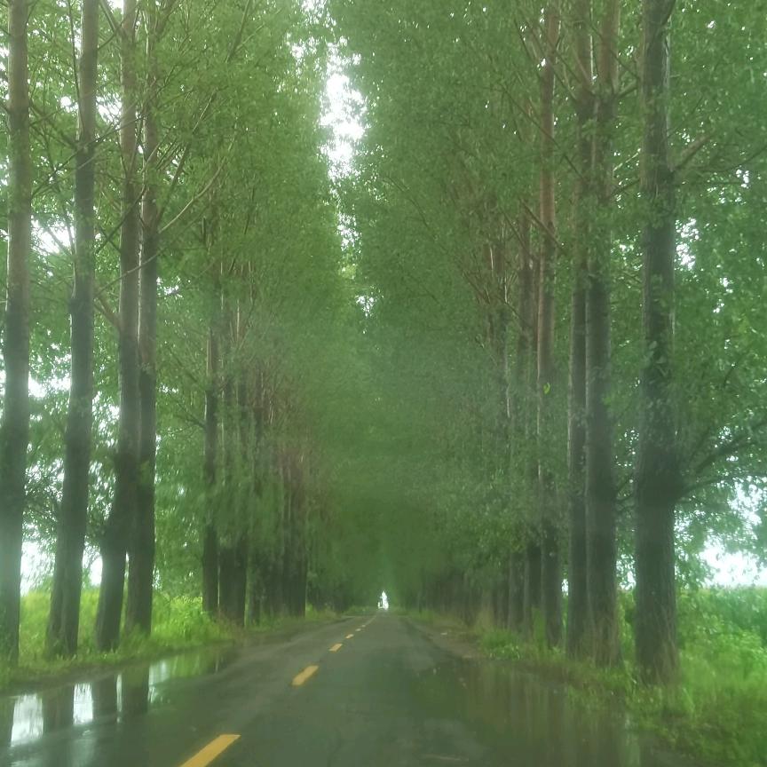 孙小匠
