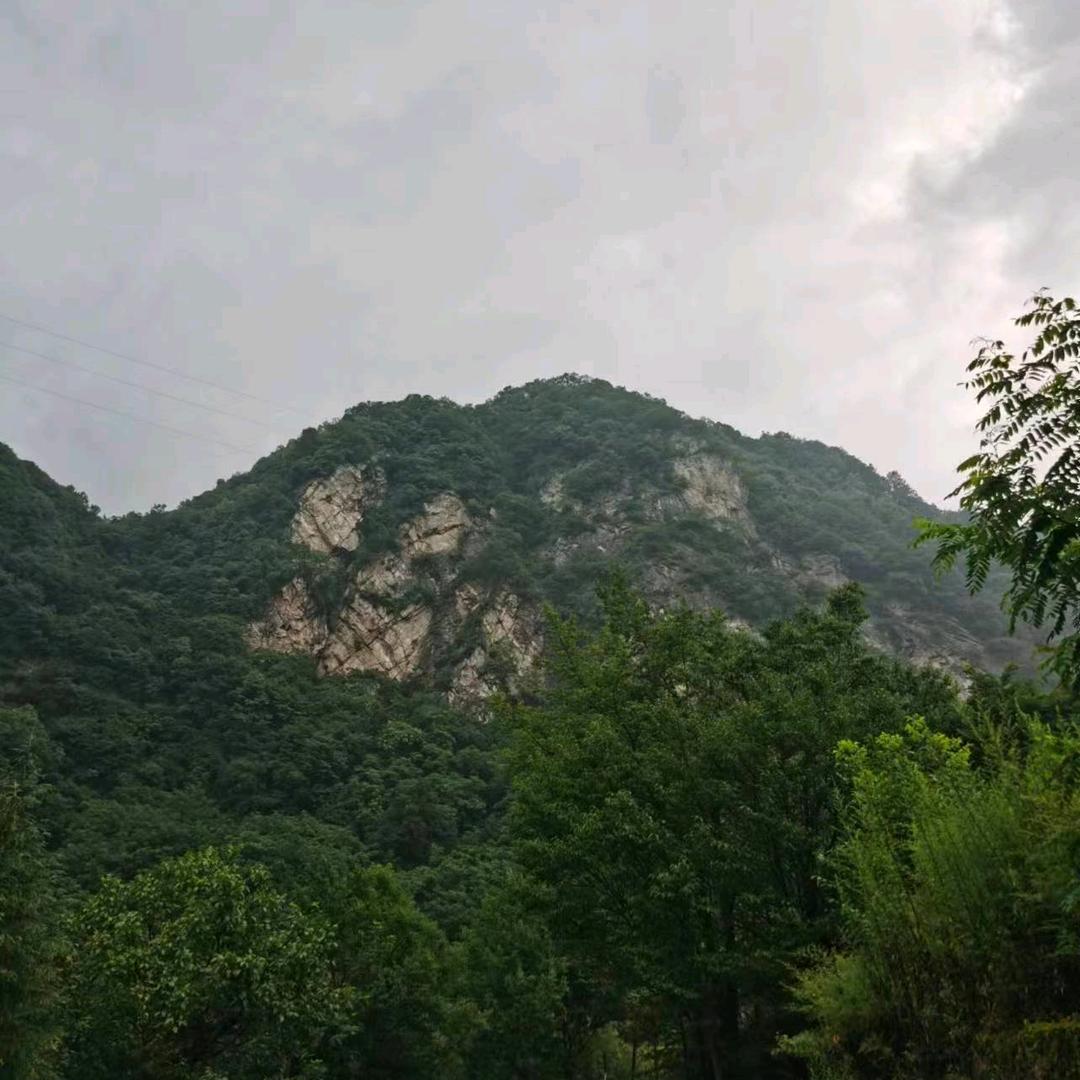 保护大秦岭