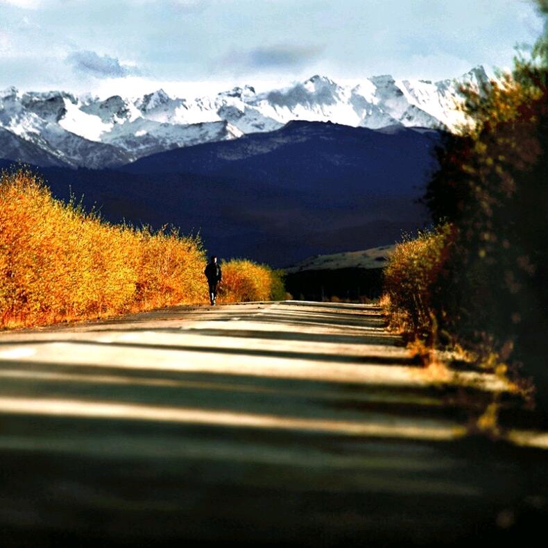 诗在远方( ͡° ͜ʖ ͡°)✧