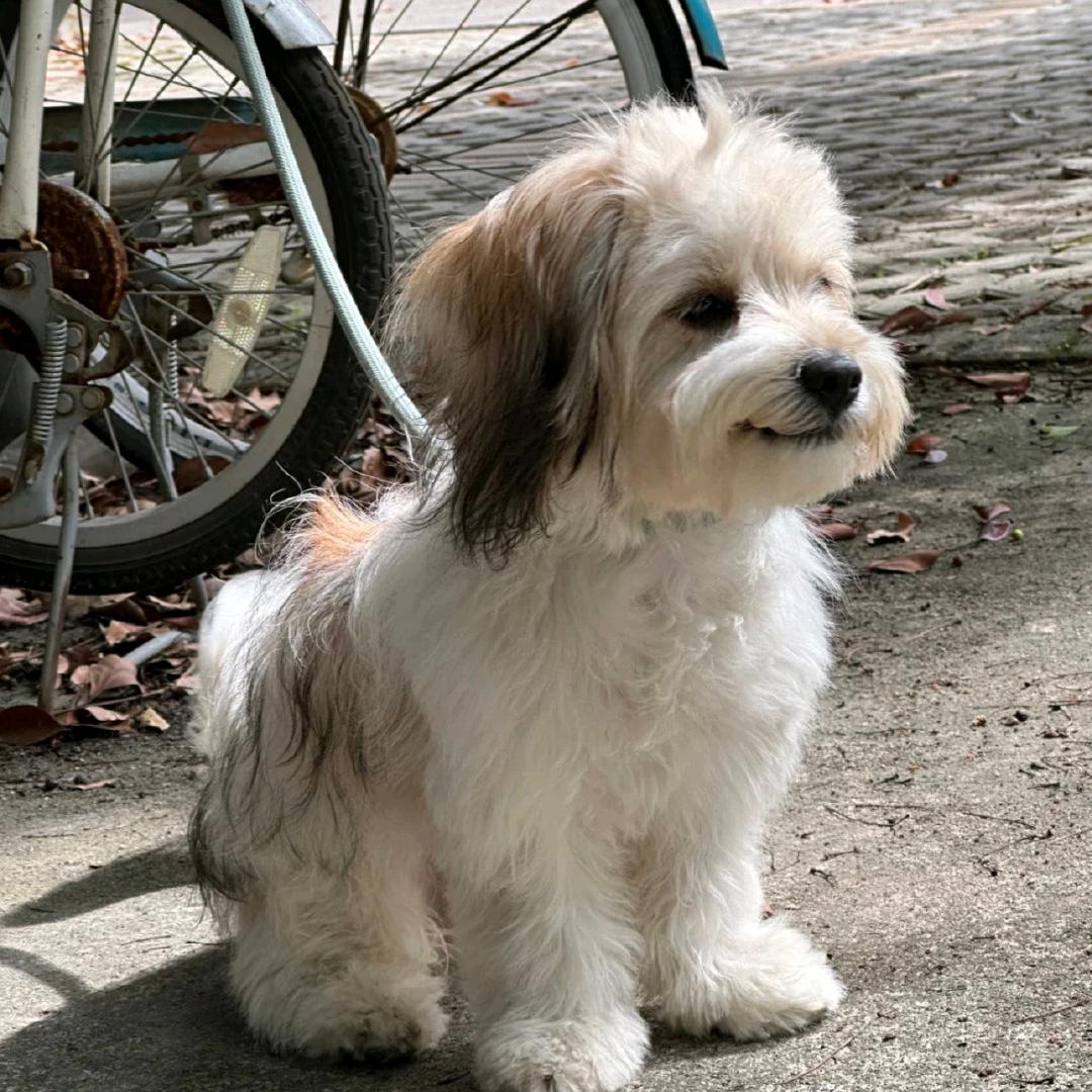 我不要上学啊～