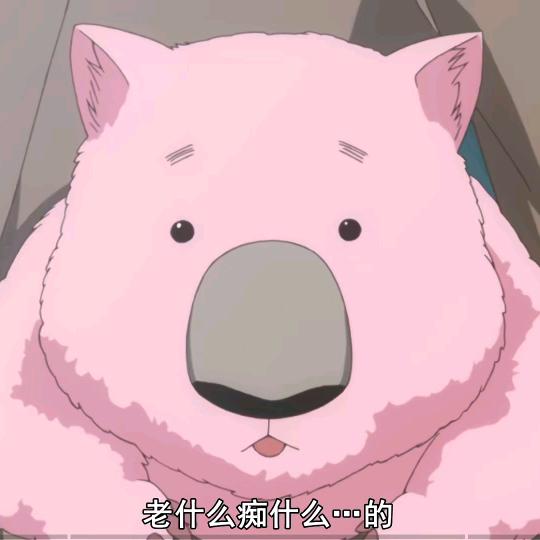 人类需要睡眠
