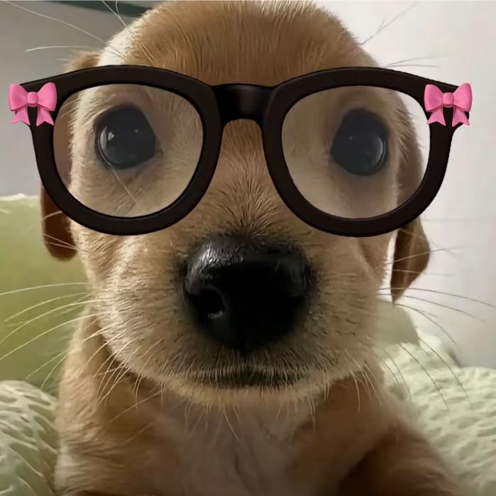 兔子不吃萝卜_