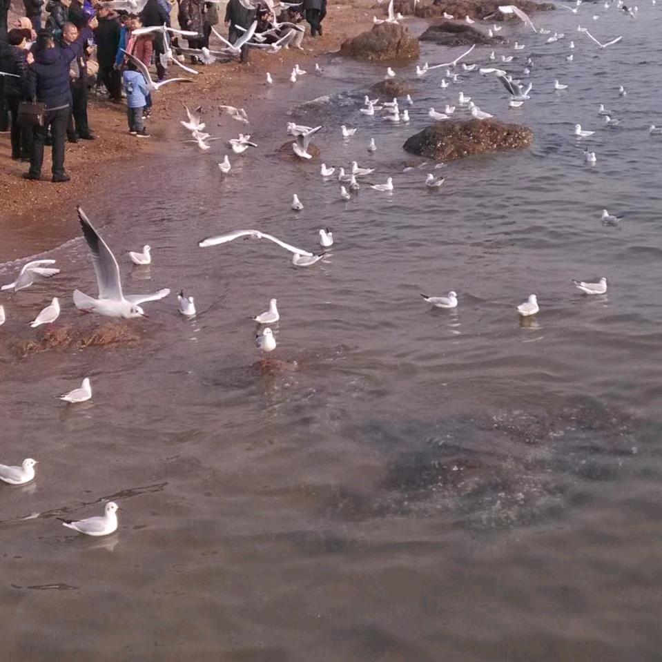 峰回路转