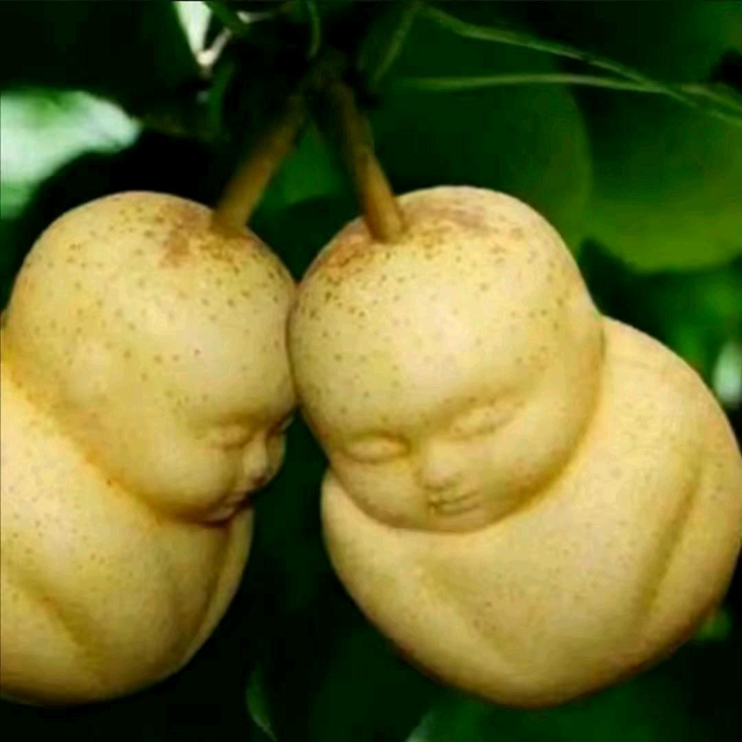 一生有爱