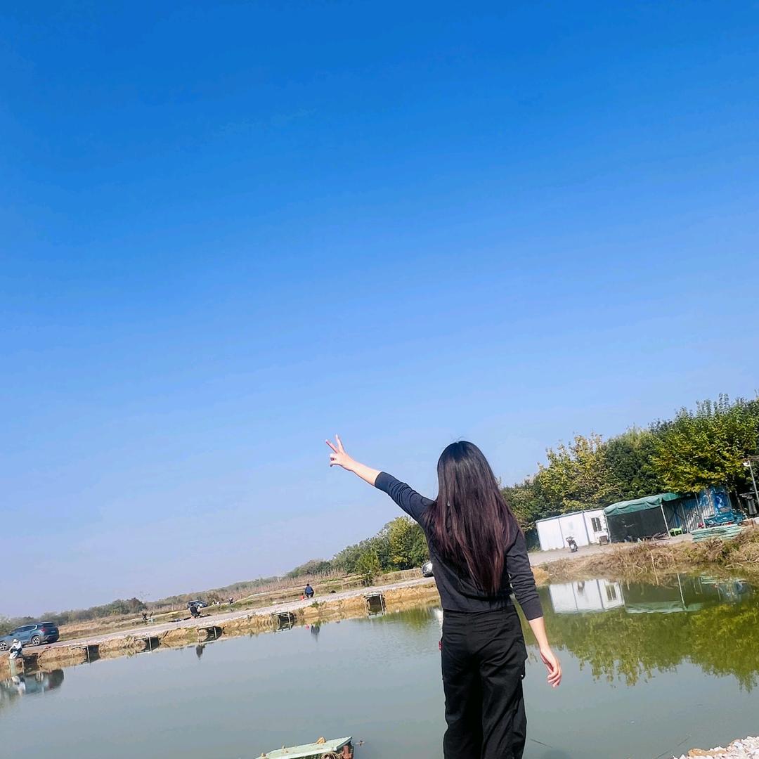 Y菲Y