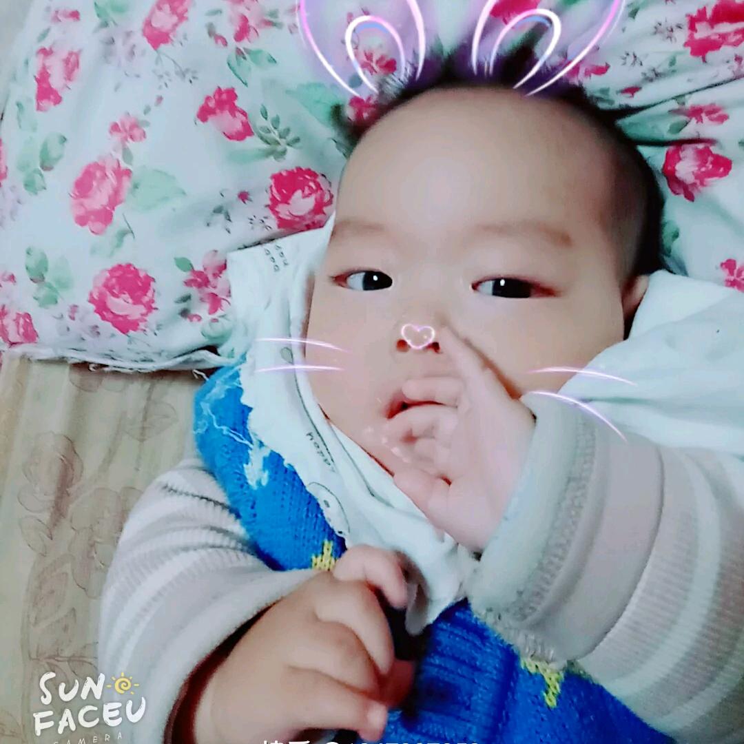 守护晨宝每一天(橱窗已开)