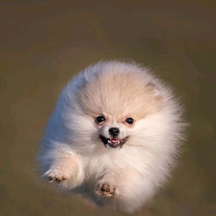 雁过留声