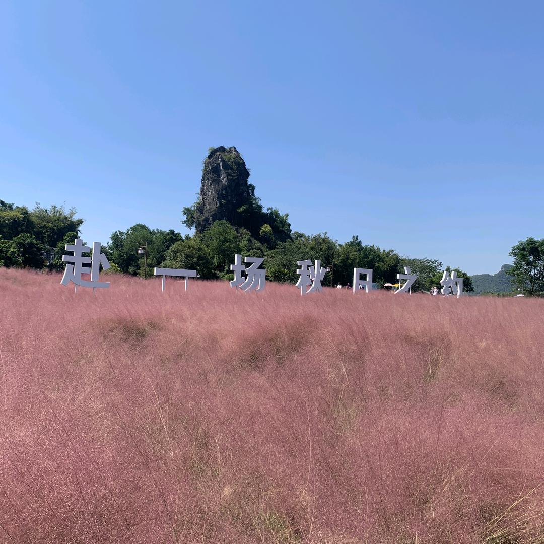 小阳💗贝贝✨
