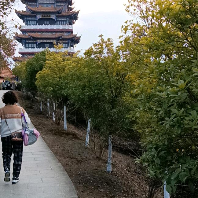 拼搏