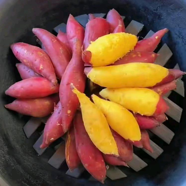 小红薯